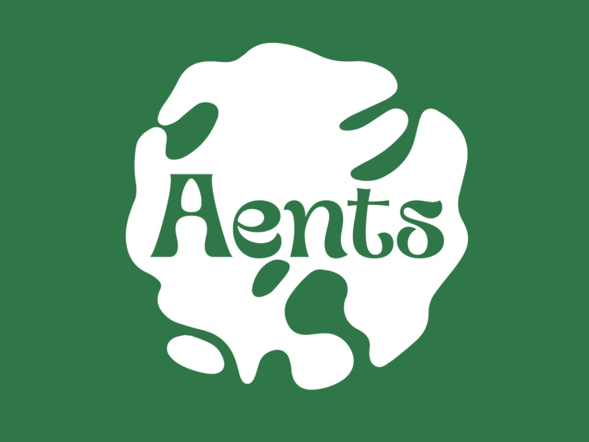 Logo du projet. C'est une tâche blanche sur fond vert avec le nom aents.
